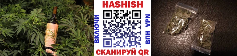 где купить наркоту  Волосово  Cannafood конопля 