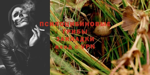 прущая мука Белокуриха